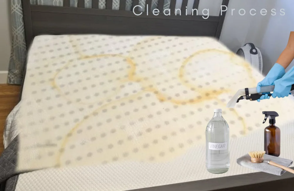 How to Clean Bassinet Mattress